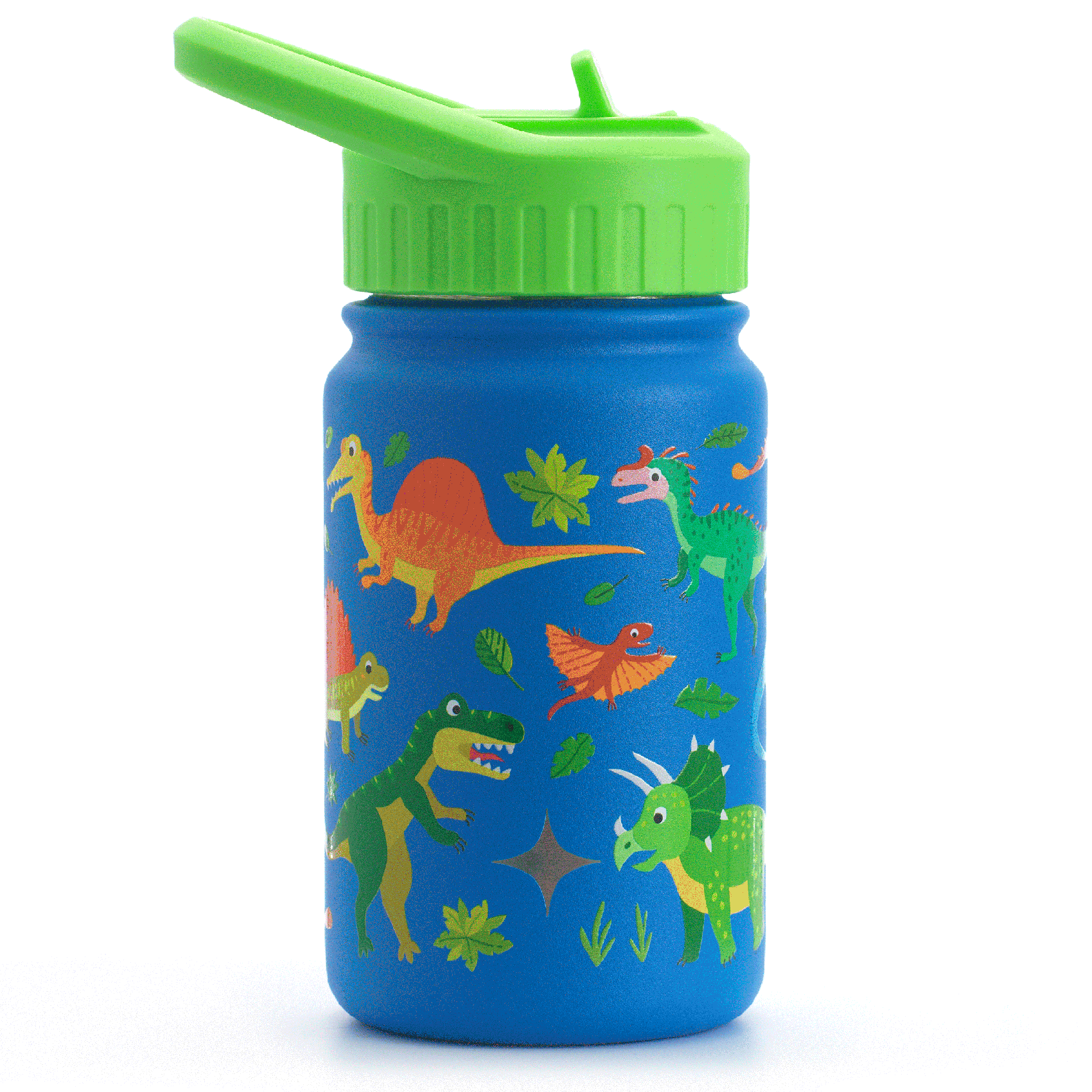 Stainless Steel Kids Water Bottle