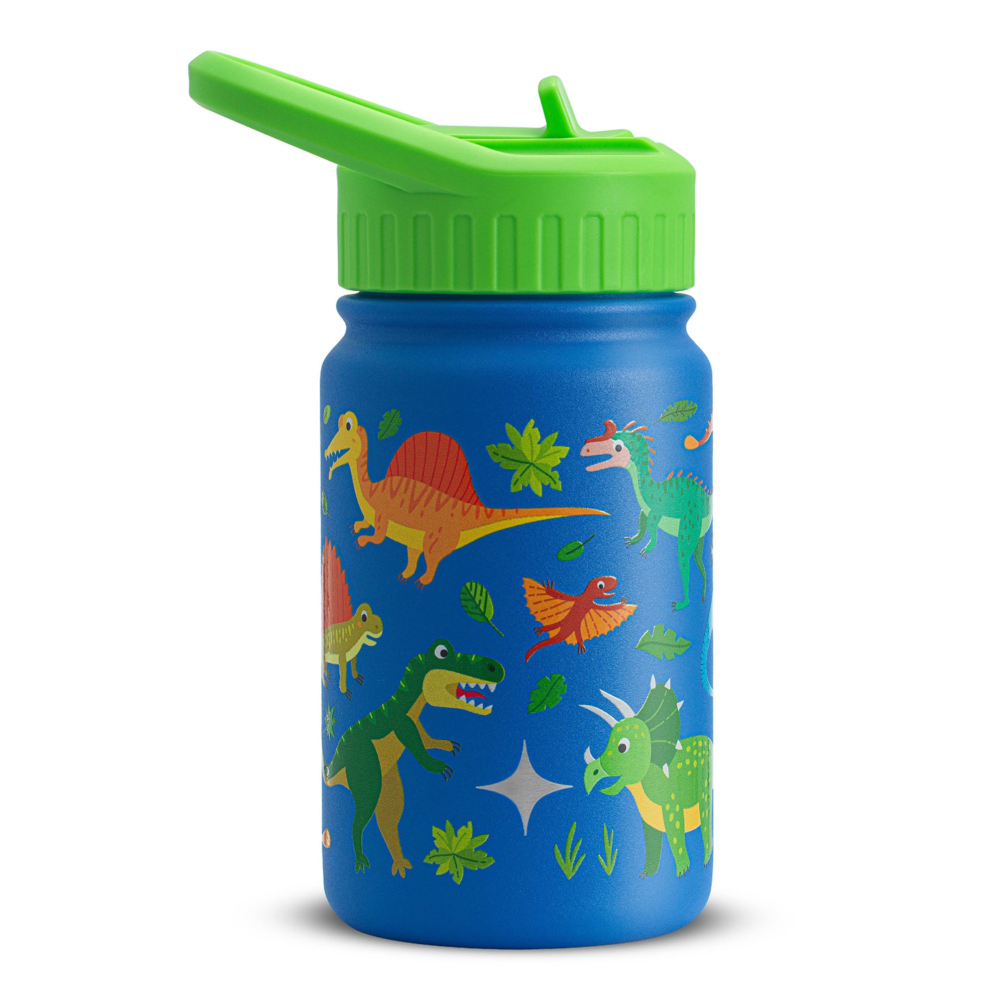 Stainless Steel Kids Water Bottle