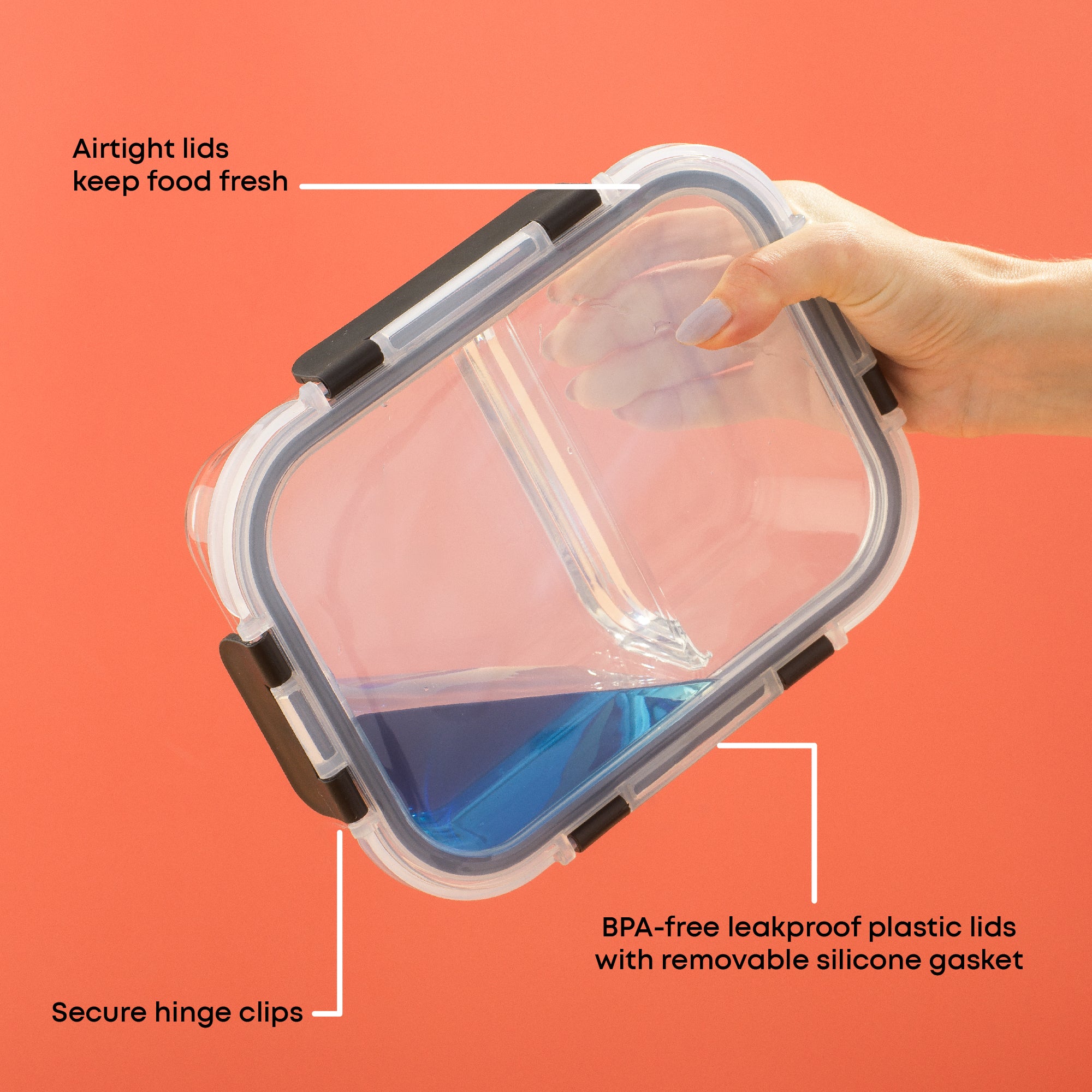 2-Sectional Glass Food Storage Containers