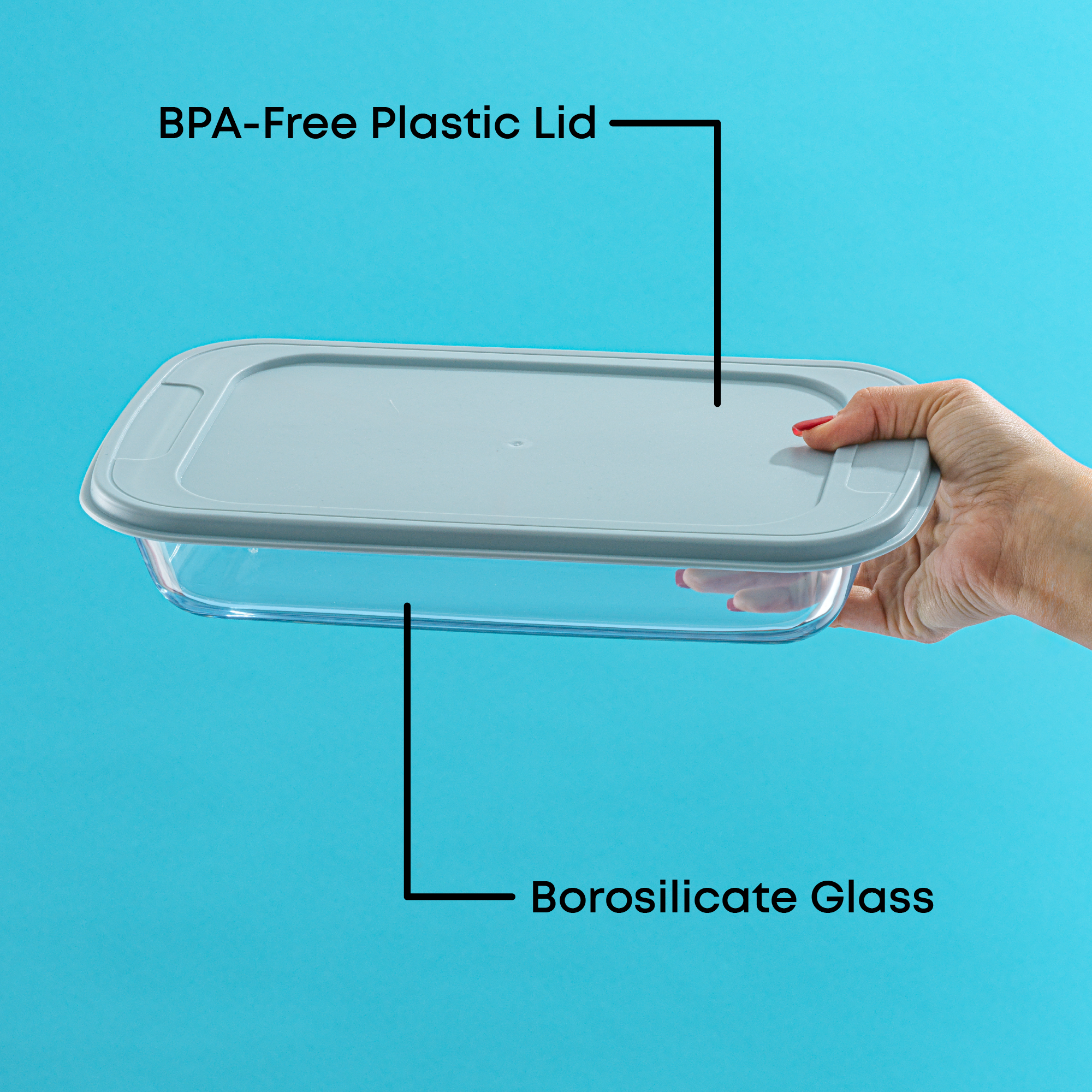 Borosilicate Glass Oven Dishes with Airtight Lids