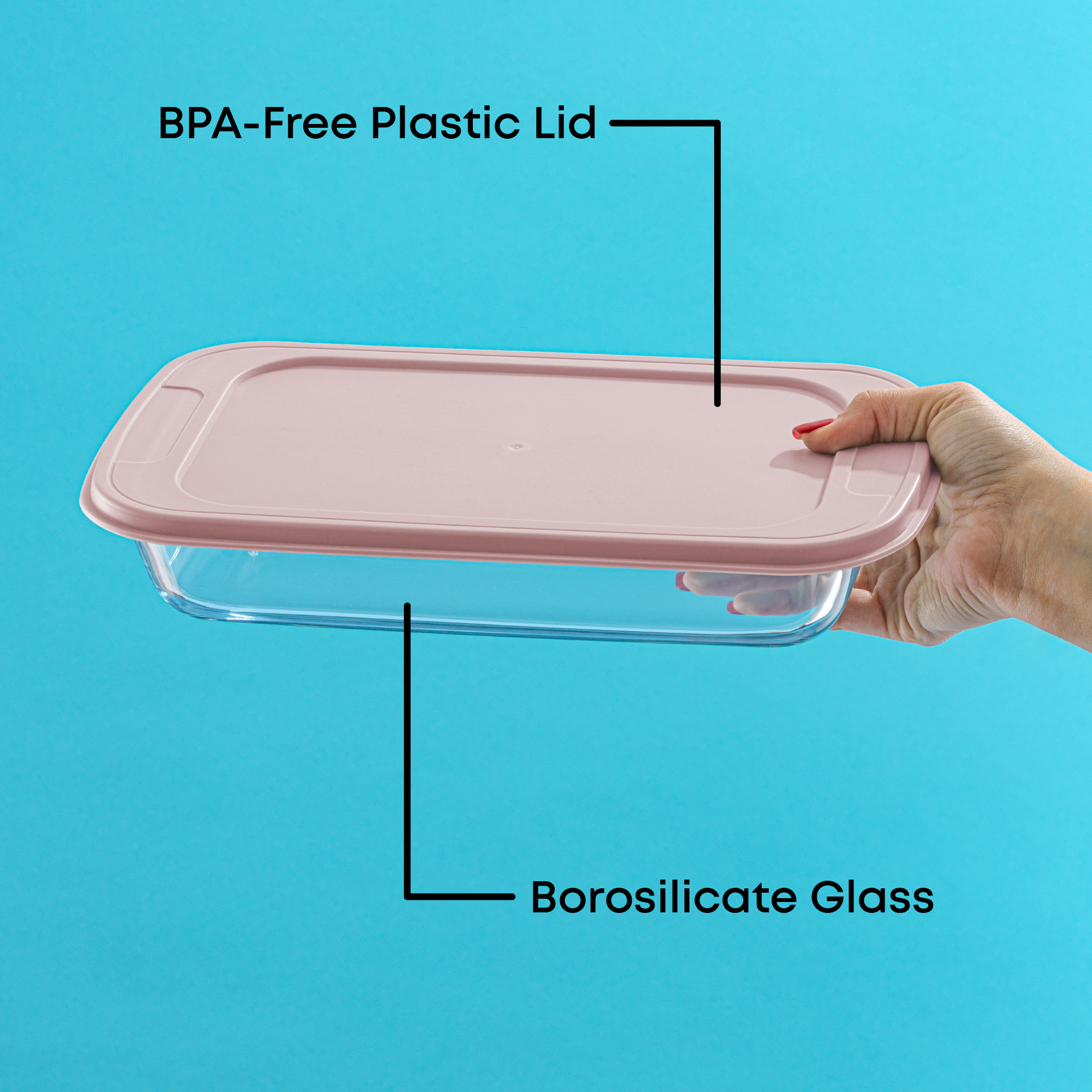 Borosilicate Glass Oven Dishes with Airtight Lids