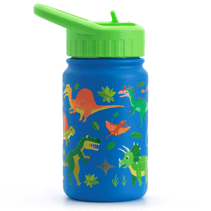Stainless Steel Kids Water Bottle