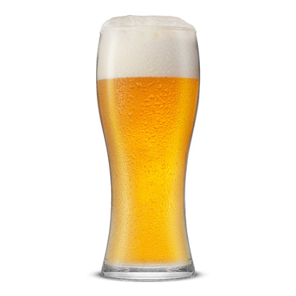 Callen Beer Glasses, 15.5 oz