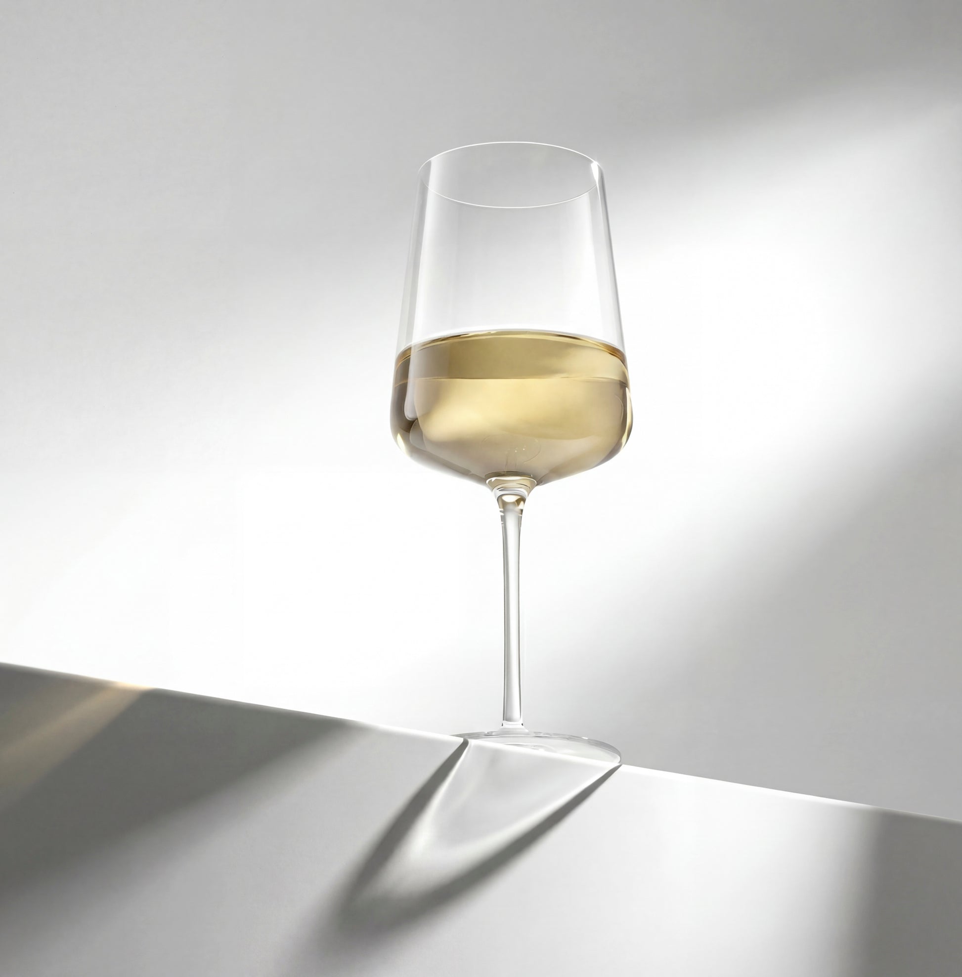 Sidney White Wine Glasses | JoyJolt