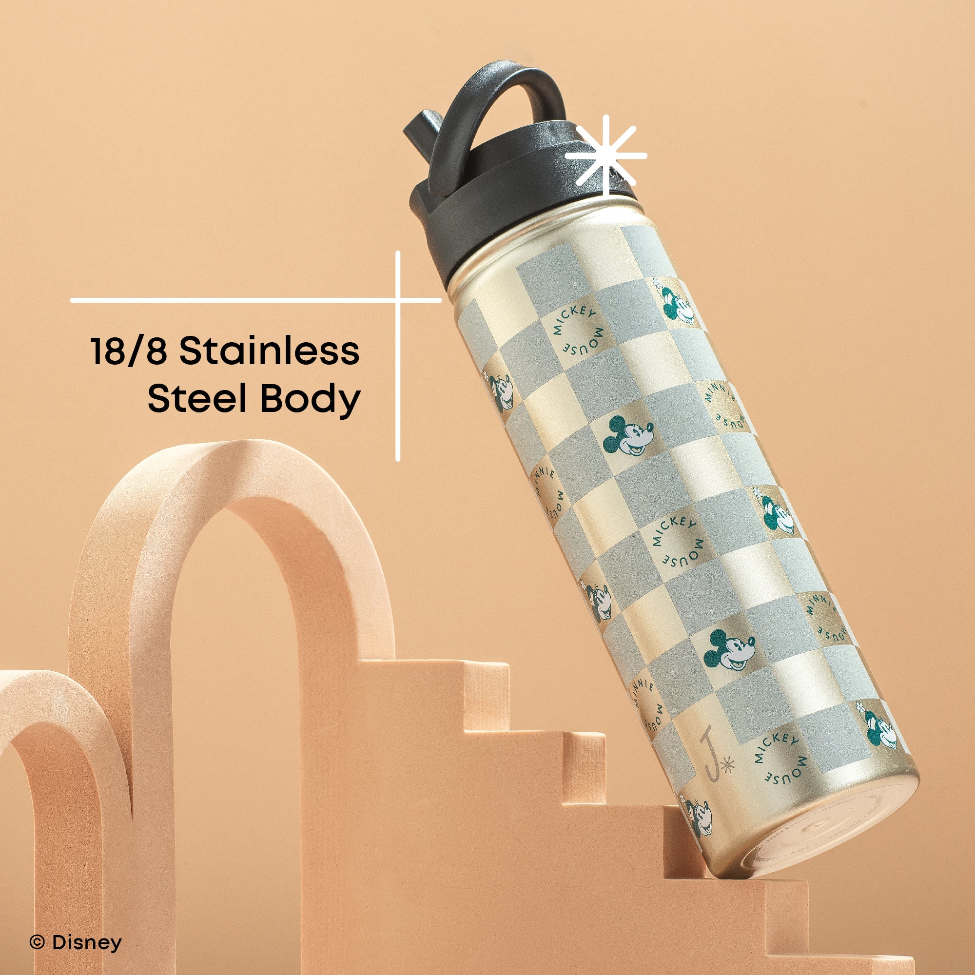 Disney Retro Vintage Mickey & Minnie Stainless Steel Water Bottle