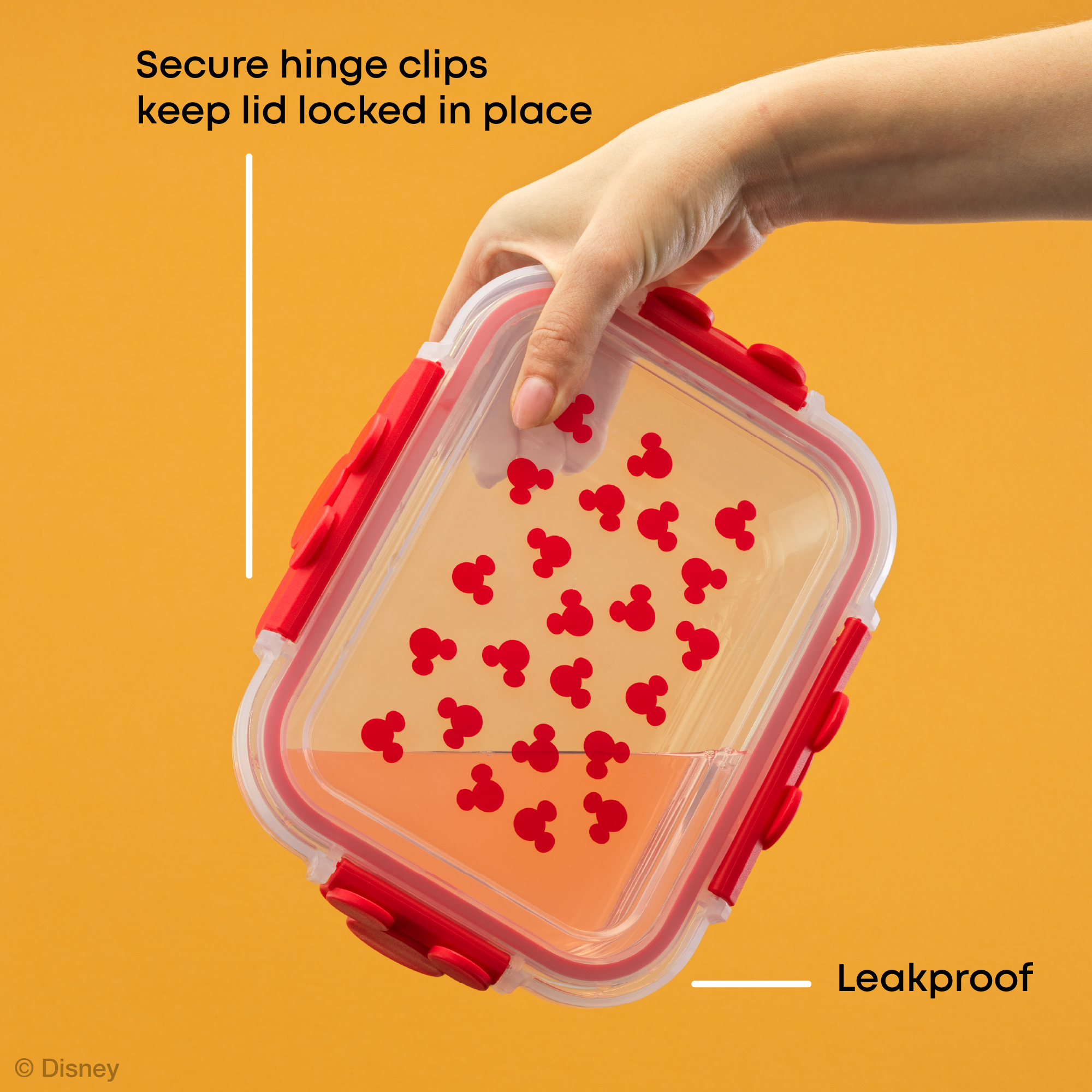 Disney Mickey & Minnie Food Storage Containers