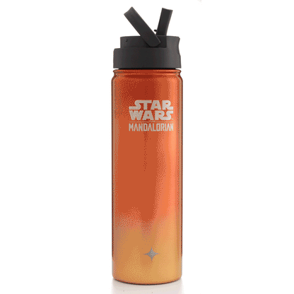 Star Wars™ The Mandalorian™ Destinations Collection Tatooine™ Vacuum Insulated Water Bottle