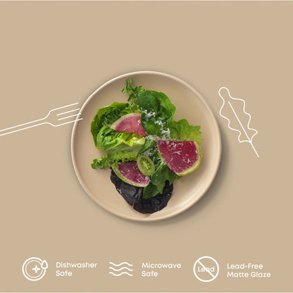 Mesa 6-Piece Stoneware Salad Plates Set