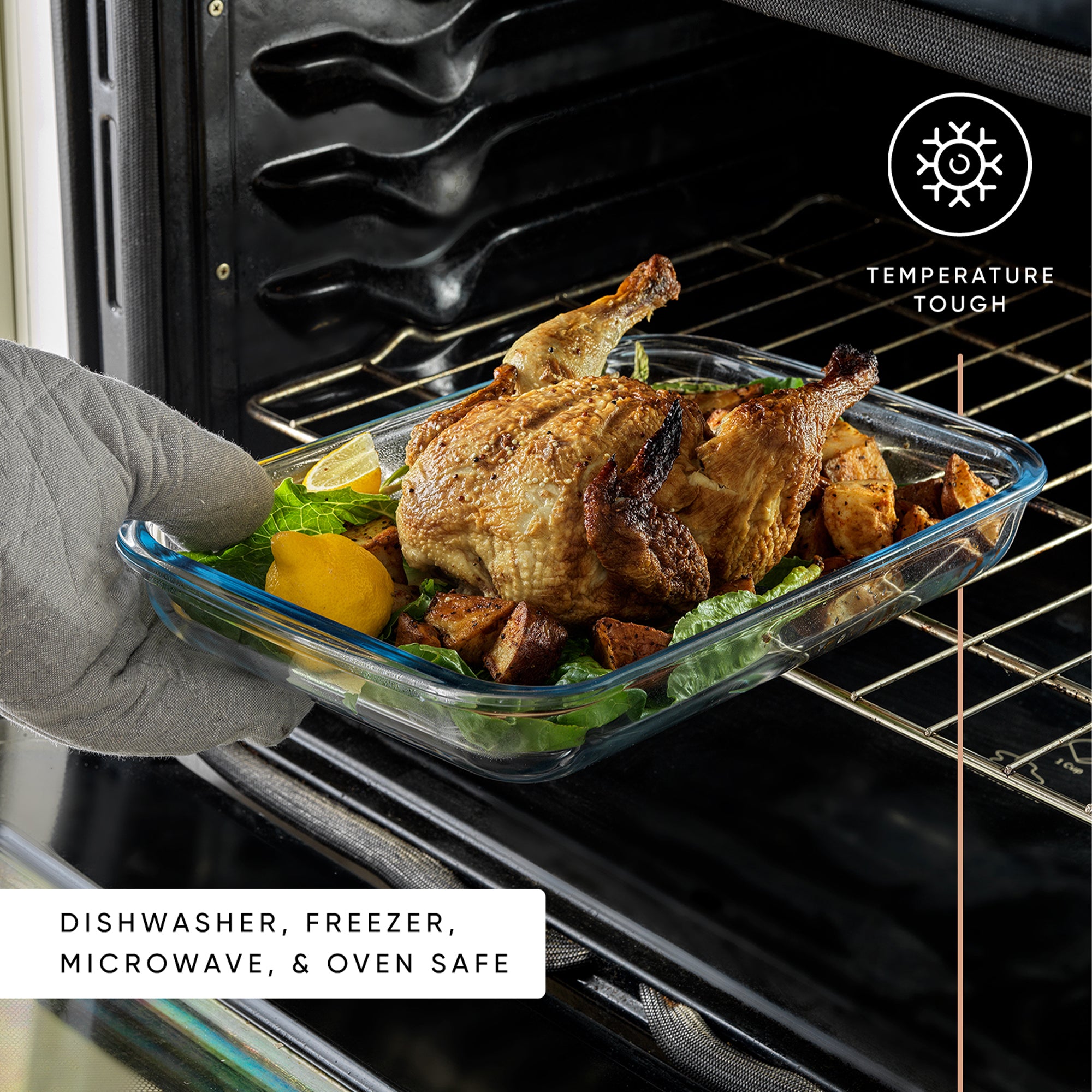 Borosilicate Glass Oven Dishes with Airtight Lids