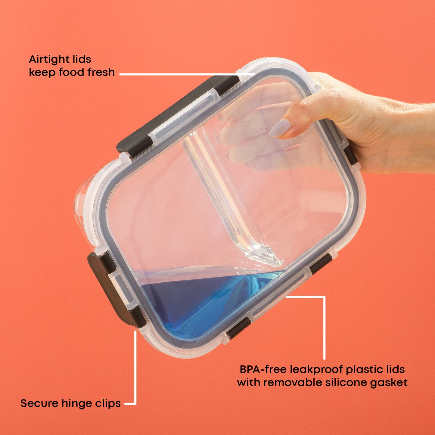 2-Sectional Glass Food Storage Containers