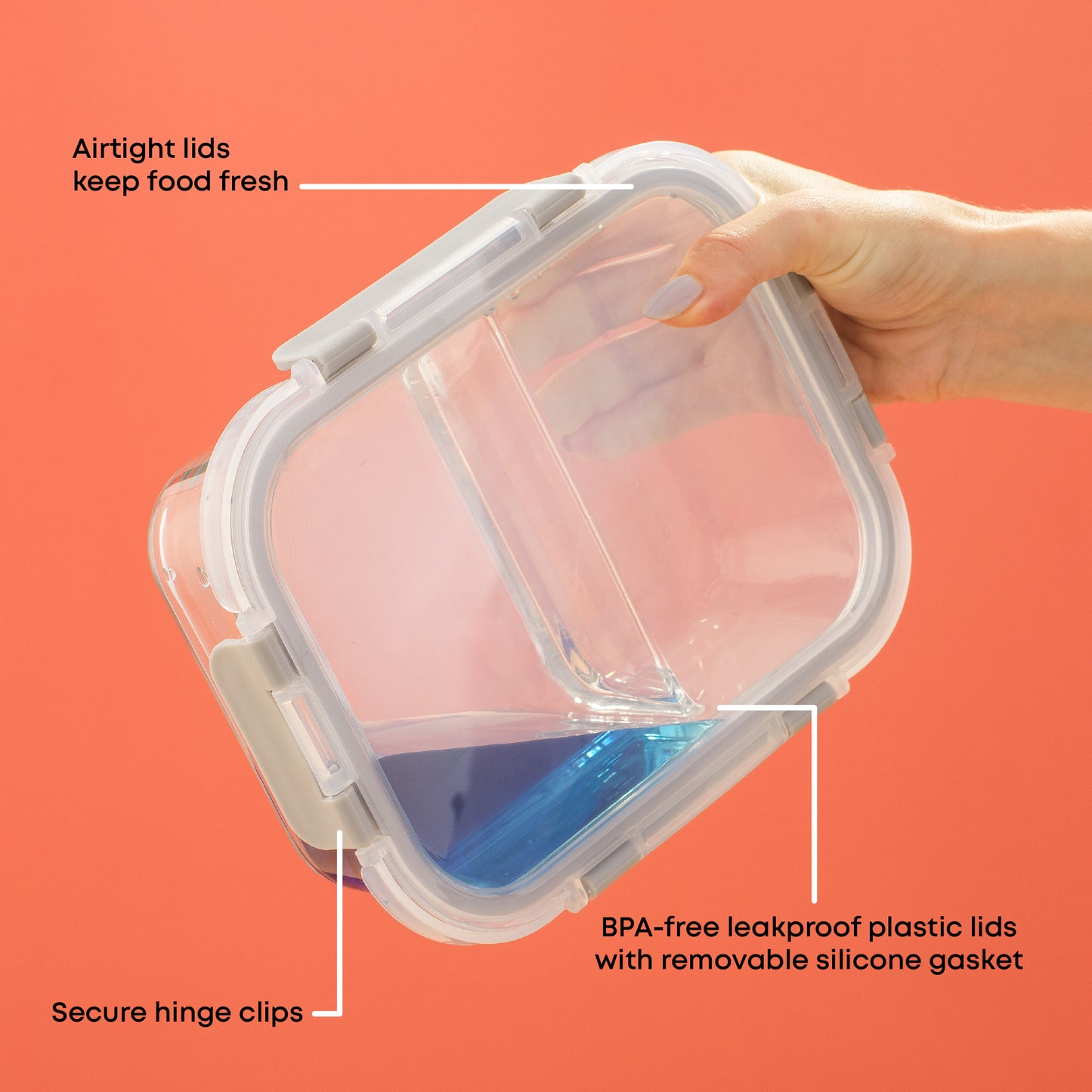 2-Sectional Glass Food Storage Containers