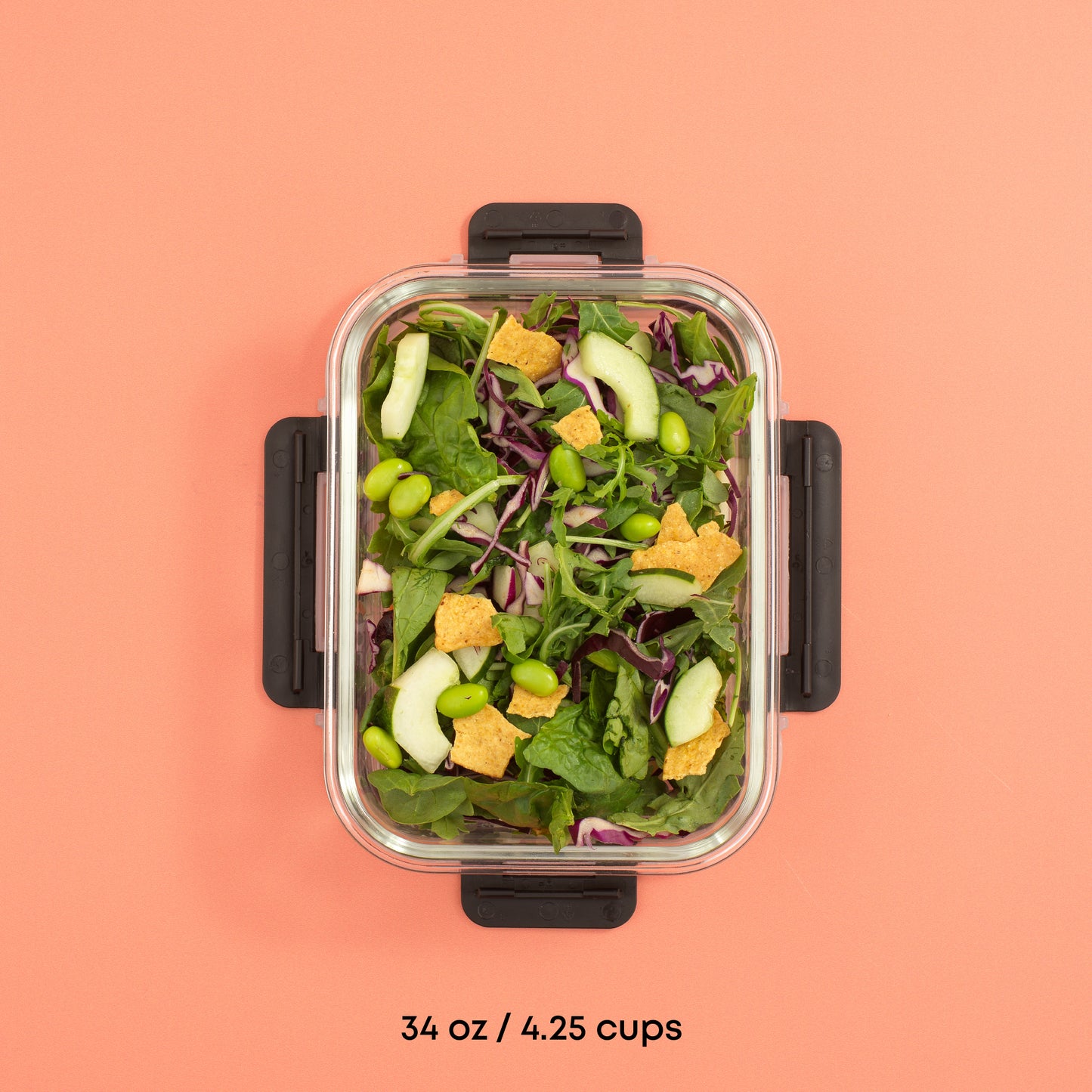 One container with a leafy green salad pictured showing 34 oz capacity, 4.25 cups.