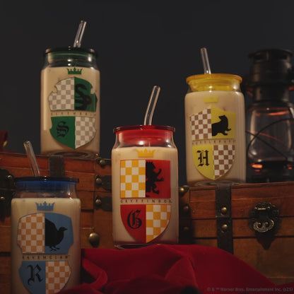 Harry Potter House Crests Tumbler Glasses with Lids