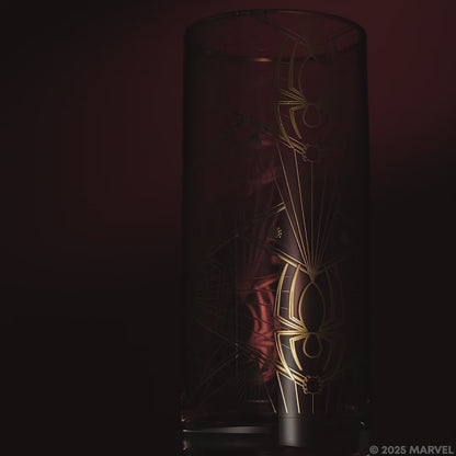 Marvel Spider-Man Legacy Tall Glasses