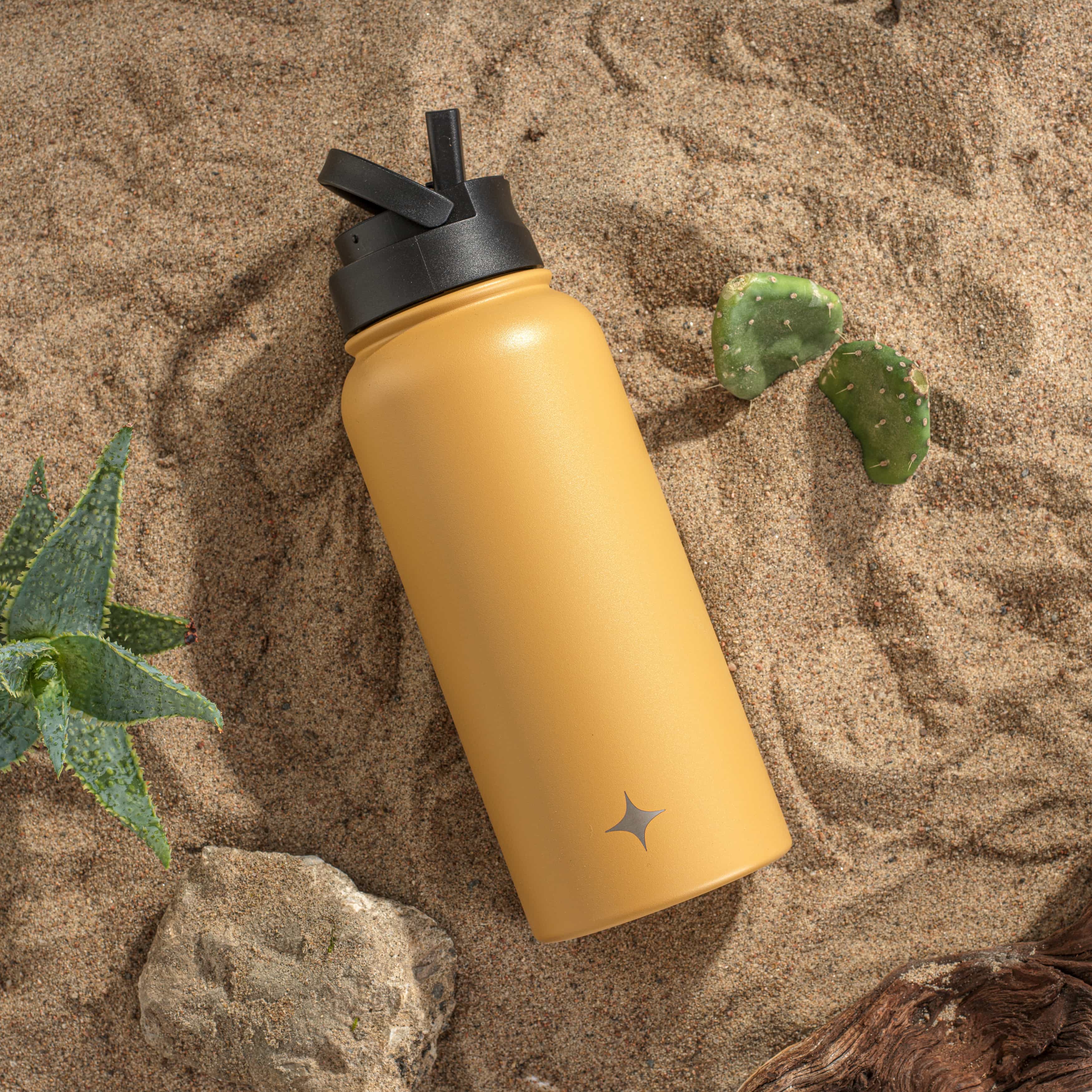 Stainless Steel Water Bottle with Flip Lid & Sport Straw Lid