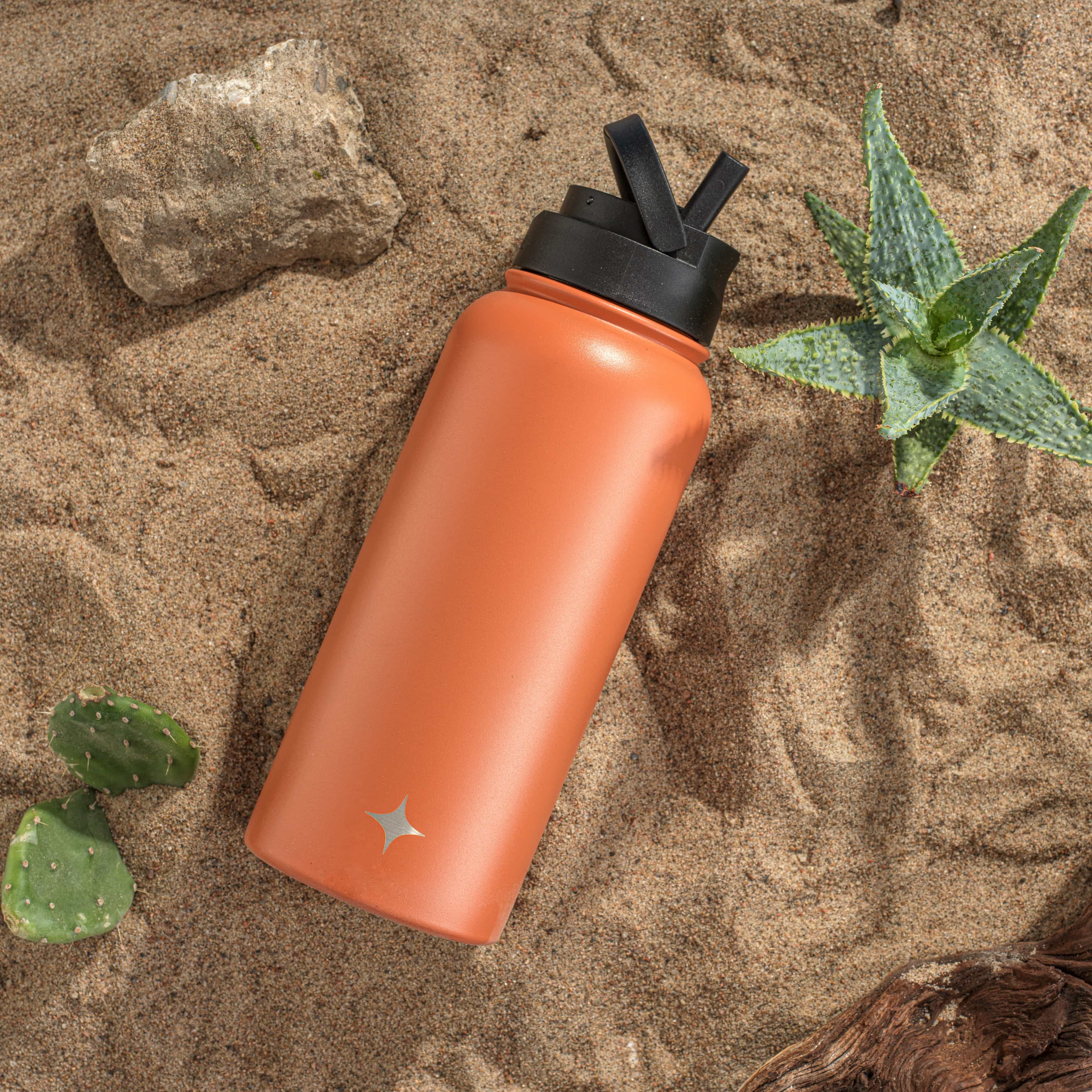 Stainless Steel Water Bottle with Flip Lid & Sport Straw Lid
