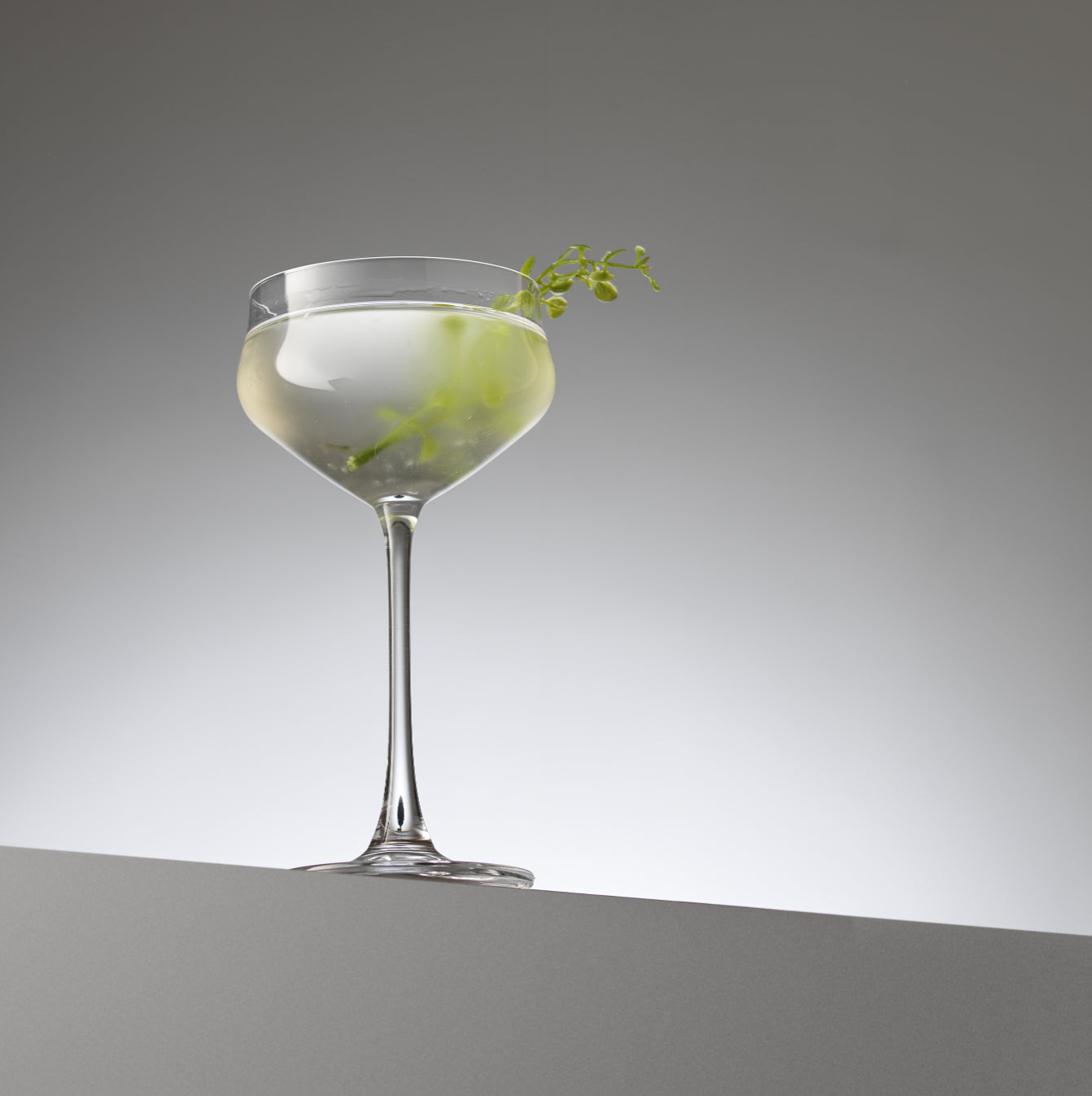 Bloom Coupe Martini Glasses Set