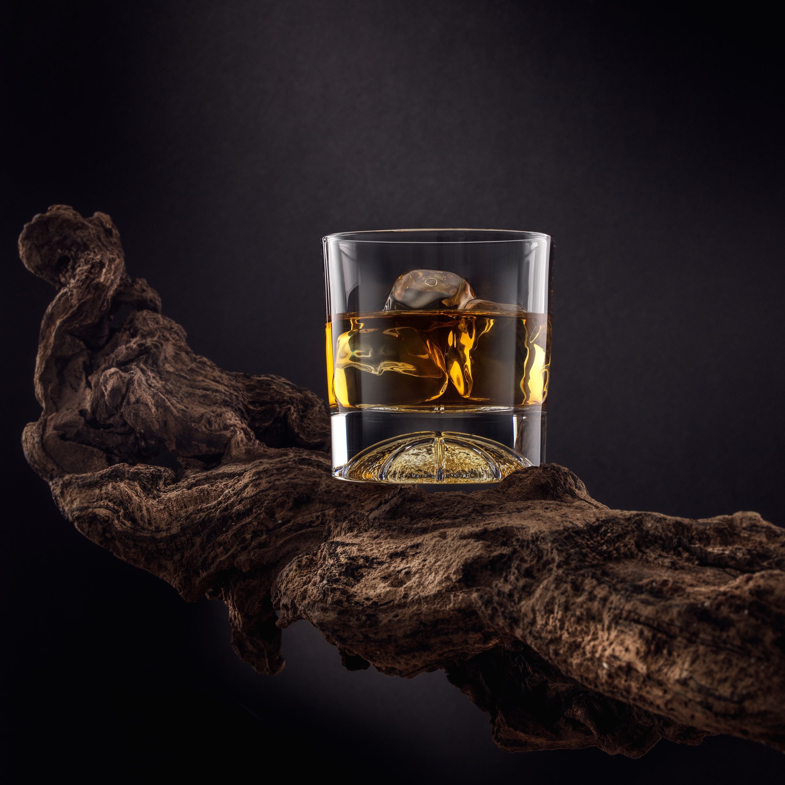 Swish Double Old Fashioned Tumblers